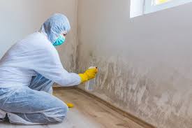 Franklin, CA Mold Removal & Remediation Company